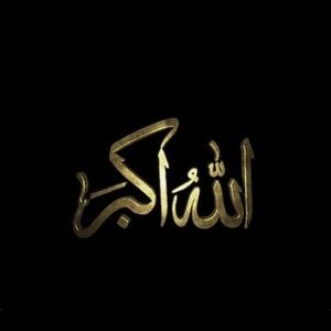 Meet your Posher, Rodney